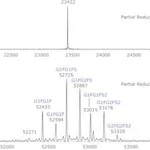 Merck SILU(TM)LITE SIGMAMAB CETUXIMAB MONOCLO&
