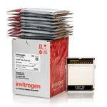 Thermo Fisher Scientific E-Gel EX Mix Pack