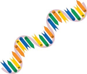 Merck RIBONUCLEIC ACID TRANSFER TYPE V FROM WH