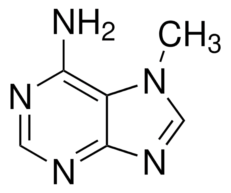 Merck 7-Methyladenine