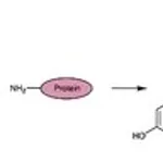 Merck FLUOROTAG FITC CONJUGATION KIT
