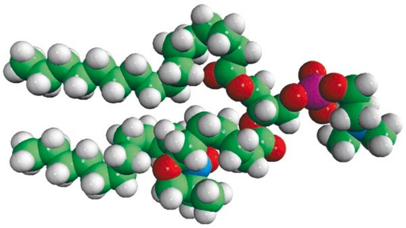 Merck 16:0-7 Doxyl PC