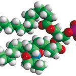 Merck 16:0-7 Doxyl PC