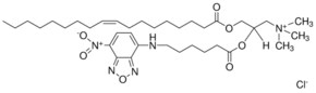 Merck FLUORESCENT DOTAP