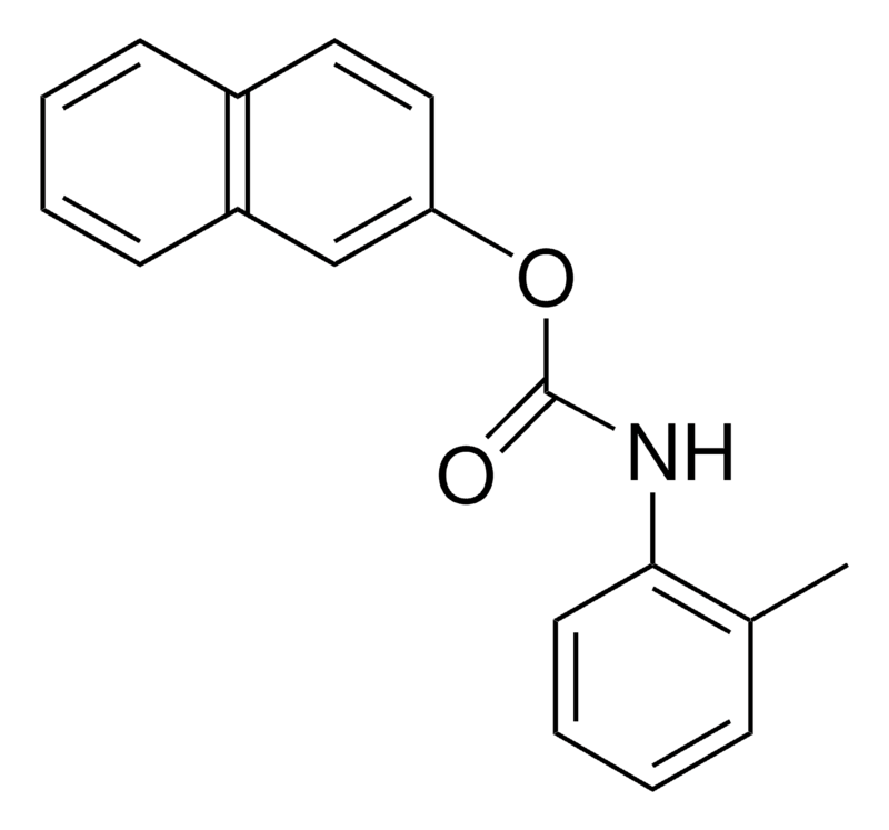 Merck 2-NAPHTHYL 2'-METHYLCARBANILATE-