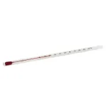 Thermo Fisher Scientific Reacti-Therm Thermometers