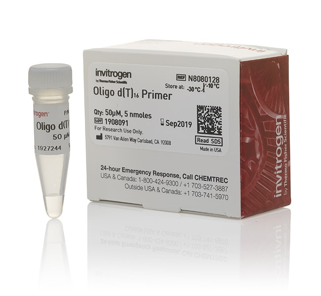 Thermo Fisher Scientific Oligo d(T)16 (50 &mu;M)