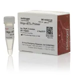 Thermo Fisher Scientific Oligo d(T)16 (50 μM)