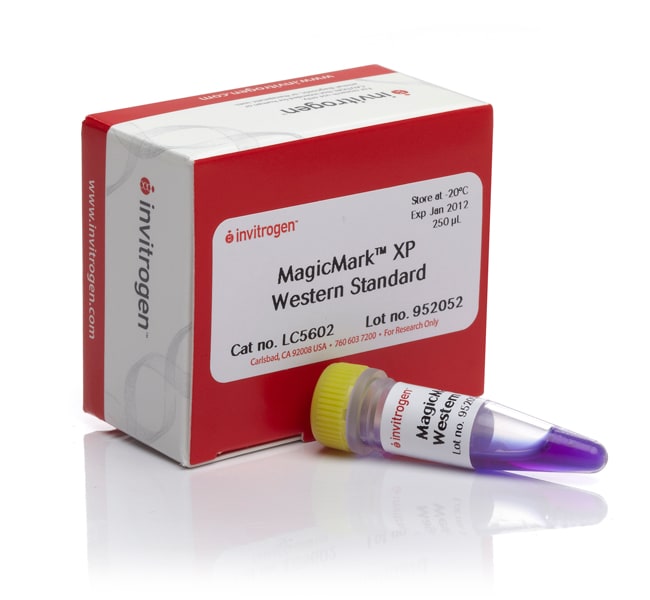 Thermo Fisher Scientific MagicMark XP Western Protein Standard, 250 μL