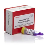 Thermo Fisher Scientific MagicMark XP Western Protein Standard, 250 μL