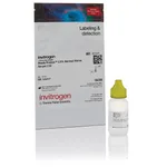 Thermo Fisher Scientific ReadyProbes 2.5% Normal Horse Serum (1X)