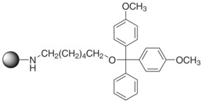 Merck AMINO-ON CPG 30-40UMOL/G 500A 1G