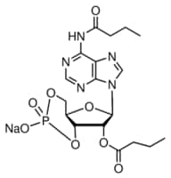 Merck N6,2``-O-DIBUTYRYLADENOSINE 3``:5``-CYCLIC&