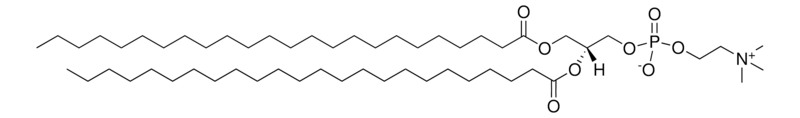 Merck 24:0 PC