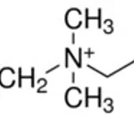 Merck N-OCTYL-N,N-DIMETHYL-3-AMMONIO-1-