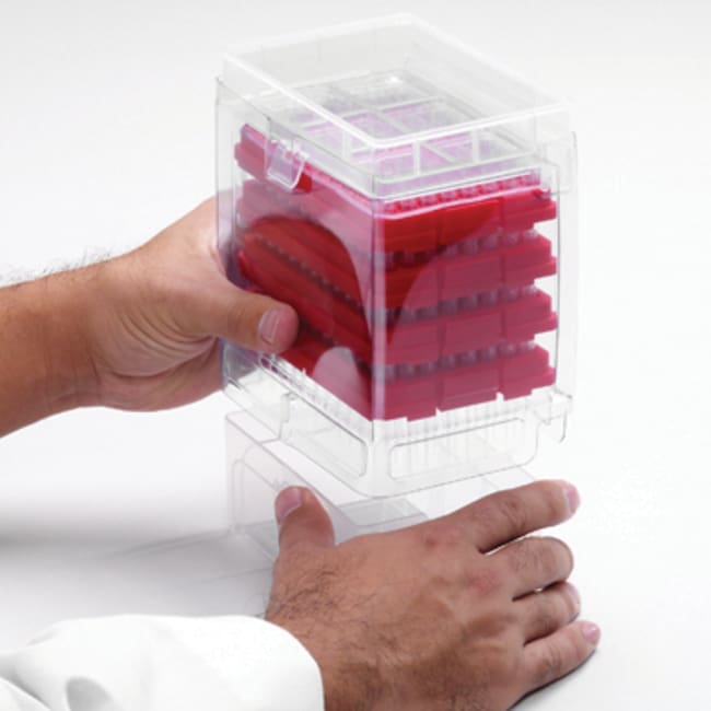 Thermo Fisher Scientific SoftFit-L Pipette Tip Low Retention Reload System, 20 &mu;L