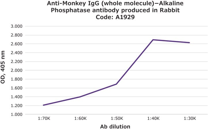 Merck Anti-Monkey IgG (whole molecule)-Alkaline Phosphatase antibody produced in rabbit