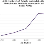 Merck Anti-Monkey IgG (whole molecule)-Alkaline Phosphatase antibody produced in rabbit