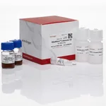 Thermo Fisher Scientific RiboMinus Eukaryote Kit for RNA-Seq