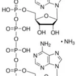 Merck P1,P4-DI(ADENOSINE-5``)TETRAPHOSPHATE
