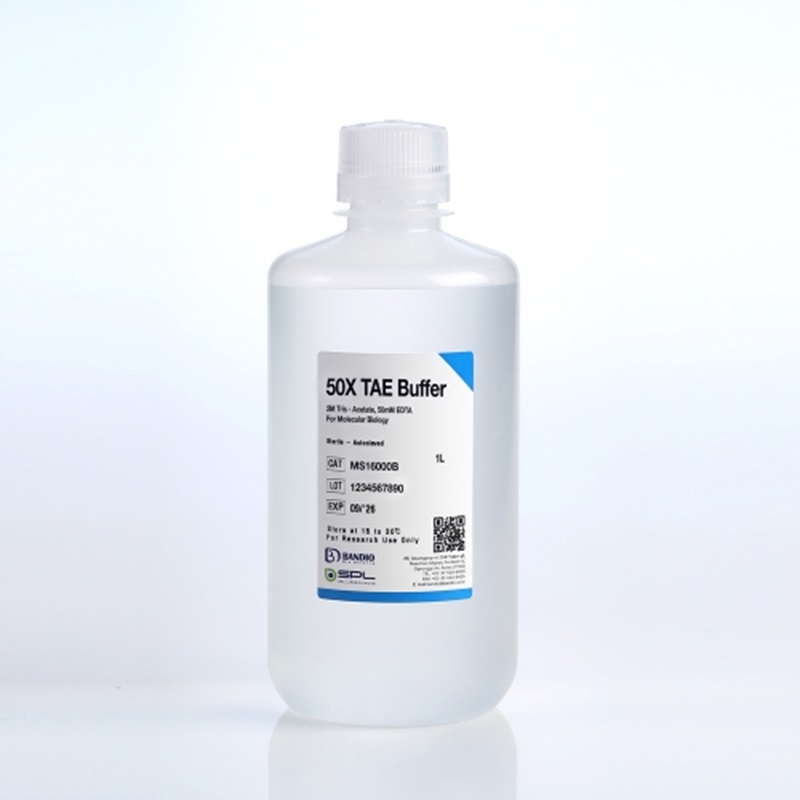 BANDIO    TAE(Tris-Acetate-EDTA) Buffer