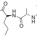 Merck CARBOBENZYLOXYALANYLNORVALINE - 50 MG&