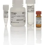 Thermo Fisher Scientific Predictor hERG Fluorescence Polarization Assay Kit