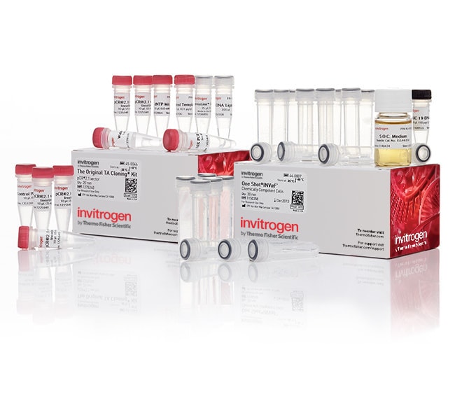 Thermo Fisher Scientific TA Cloning Kit, with pCR2.1 Vector and One Shot INVαF` Chemically Competent E. coli, 20 reactions