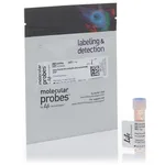 Thermo Fisher Scientific Alexa Fluor 594 NHS Ester (Succinimidyl Ester), 1 mg