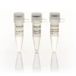 Thermo Fisher Scientific DNase I, RNase-free, HC (50 U/μL)