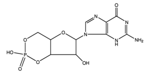 Merck GUANOSINE 3``:5``-CYCLIC MONOPHOSPHATE &