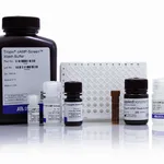 Thermo Fisher Scientific cAMP-Screen Cyclic AMP Immunoassay System, 192 assays (2 x 96)