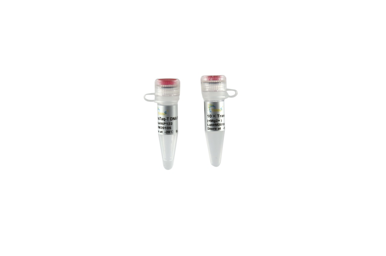 TransTaq®-T DNA Polymerase