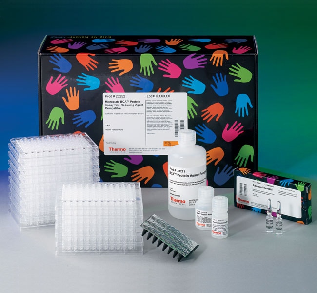 Thermo Fisher Scientific Pierce Microplate BCA Protein Assay Kit - Reducing Agent Compatible