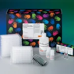 Thermo Fisher Scientific Pierce Microplate BCA Protein Assay Kit - Reducing Agent Compatible