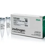 Thermo Fisher Scientific Ambion T4 RNA Ligase, cloned, 5 U/μL