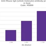 Merck ANTI-MOUSE IGG (WHOLE MOLECULE) &