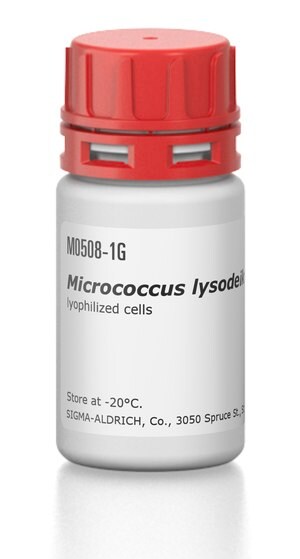 Merck MICROCOCCUS LYSODEIKTICUS