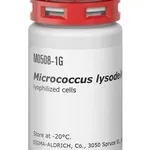 Merck MICROCOCCUS LYSODEIKTICUS