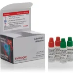 Thermo Fisher Scientific CellEvent Caspase 3/7 Green Ready Flow Reagent