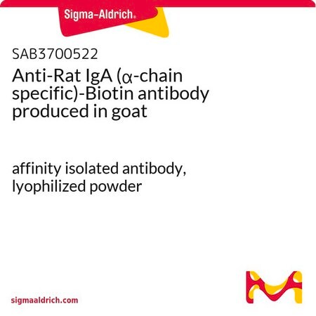 Merck Anti-Rat IgA (alpha-chain specific)-Biotin antibody produced in goat