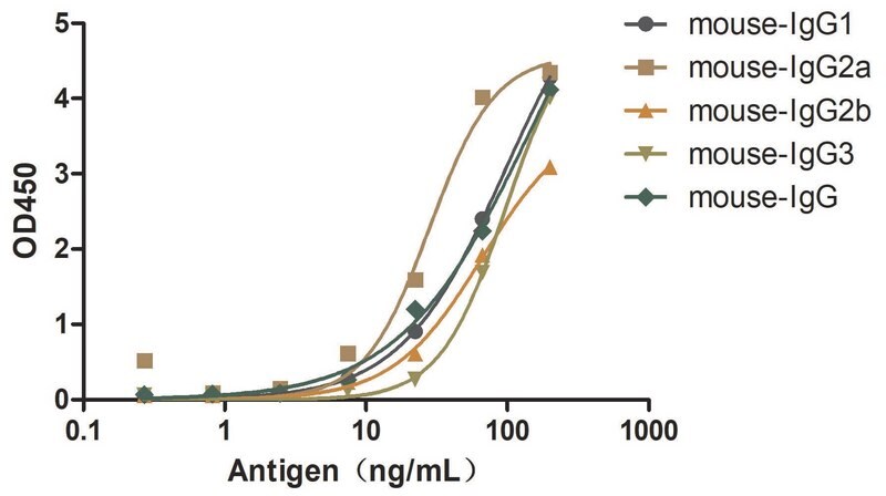 Merck Alpaca Anti-Mouse IgG(Fcγ) single domain