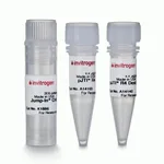 Thermo Fisher Scientific Jump-In CHO-K1 Kit