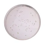 Himedia Columbia Blood Agar Base