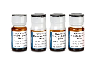 Waters GlycoWorks Phosphoglycan SPE Buffer - HILIC