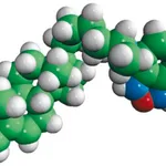 Merck 25-NBD Cholesterol