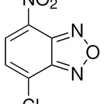 Merck 4-CHLORO-7-NITROBENZOFURAZAN SUITABLE F&