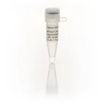 Thermo Fisher Scientific M13/pUC Reverse Sequencing Primer (-46), 24-mer