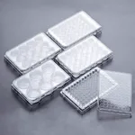 GVS Cell culture units-Multi-well Cell Culture plates