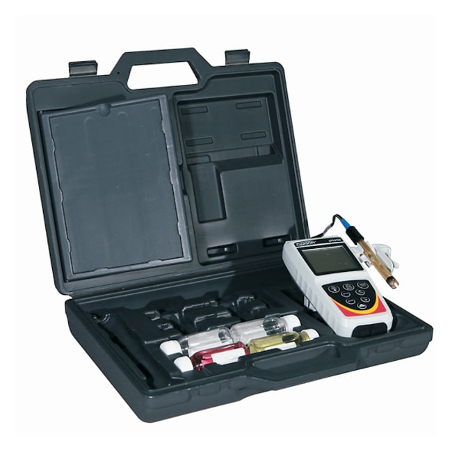 Thermo Fisher Scientific Waterproof pH 450 Portable Meter